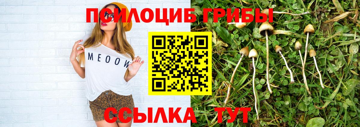 Галлюциногенные грибы Psilocybine cubensis  Галлюциногенные грибы ЛСД  Вход с VPN  Димитровград 