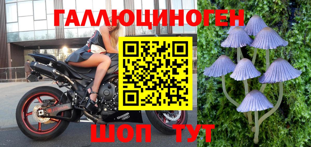 Псилоцибиновые грибы GOLDEN TEACHER Димитровград