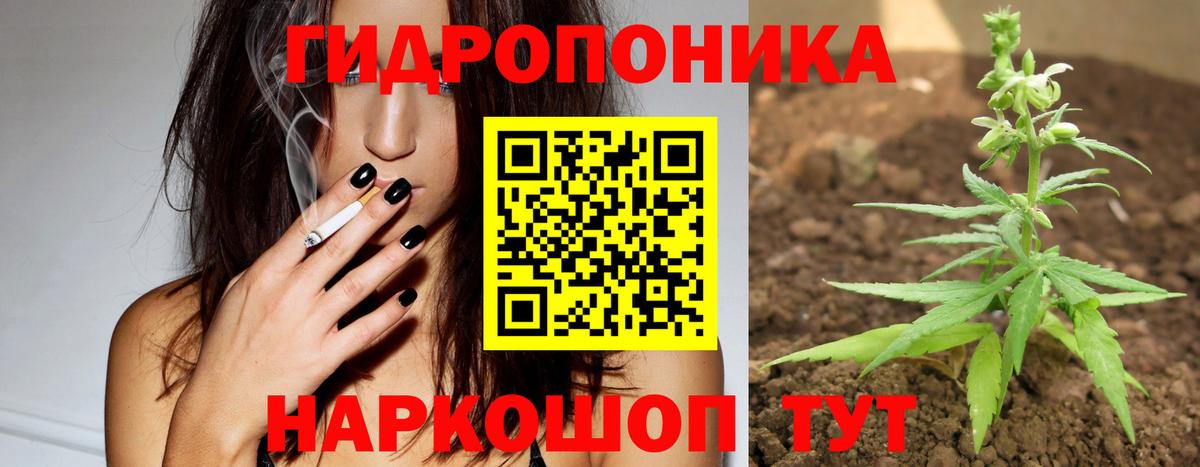 Канабис SATIVA & INDICA Димитровград